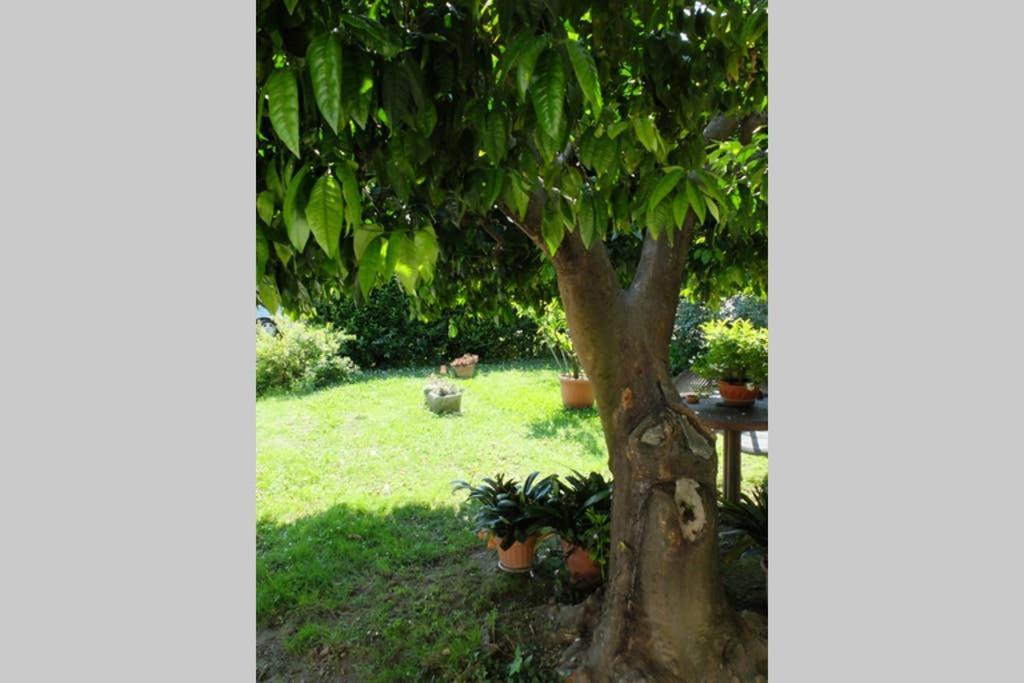 La Casina Di Bruna Mommio Extérieur photo