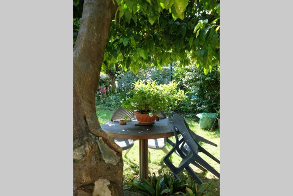La Casina Di Bruna Mommio Extérieur photo