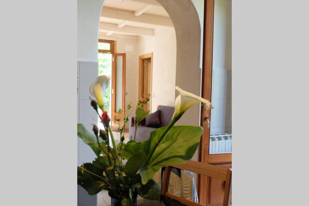 La Casina Di Bruna Mommio Extérieur photo